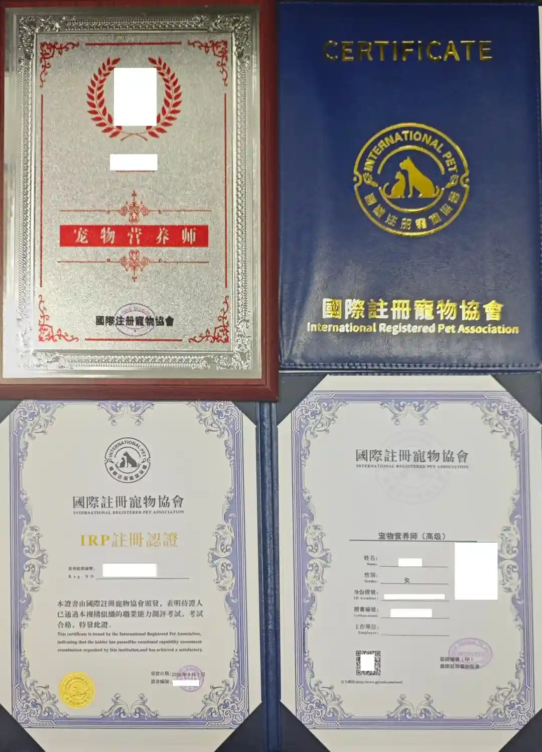 佰加教育深度解读:2026宠物营养师证书就业前景与避坑报考指南